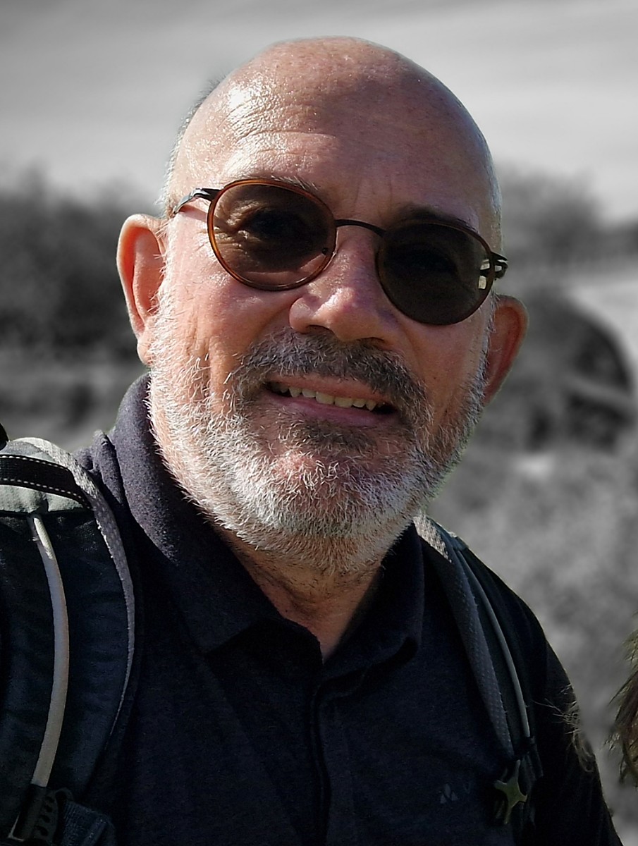 Portrait des Seiten-Autors