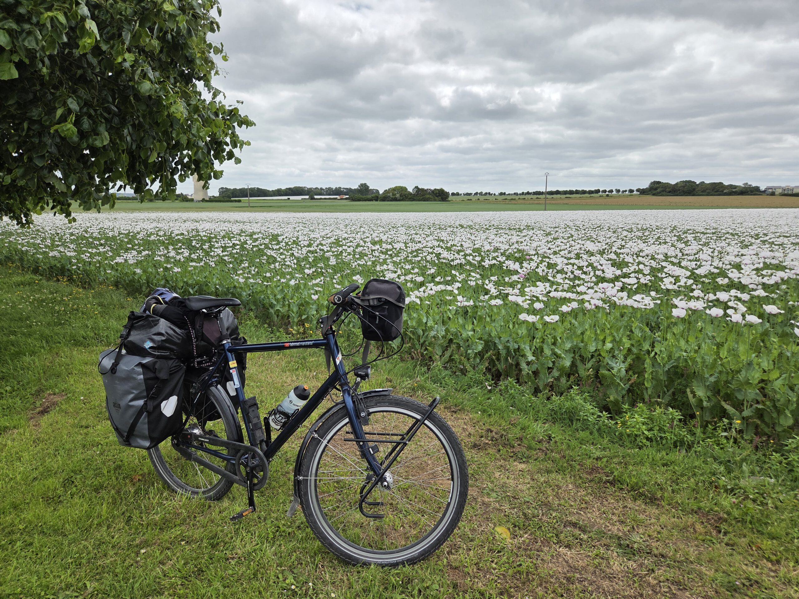 D-Day-Durchmogeln
