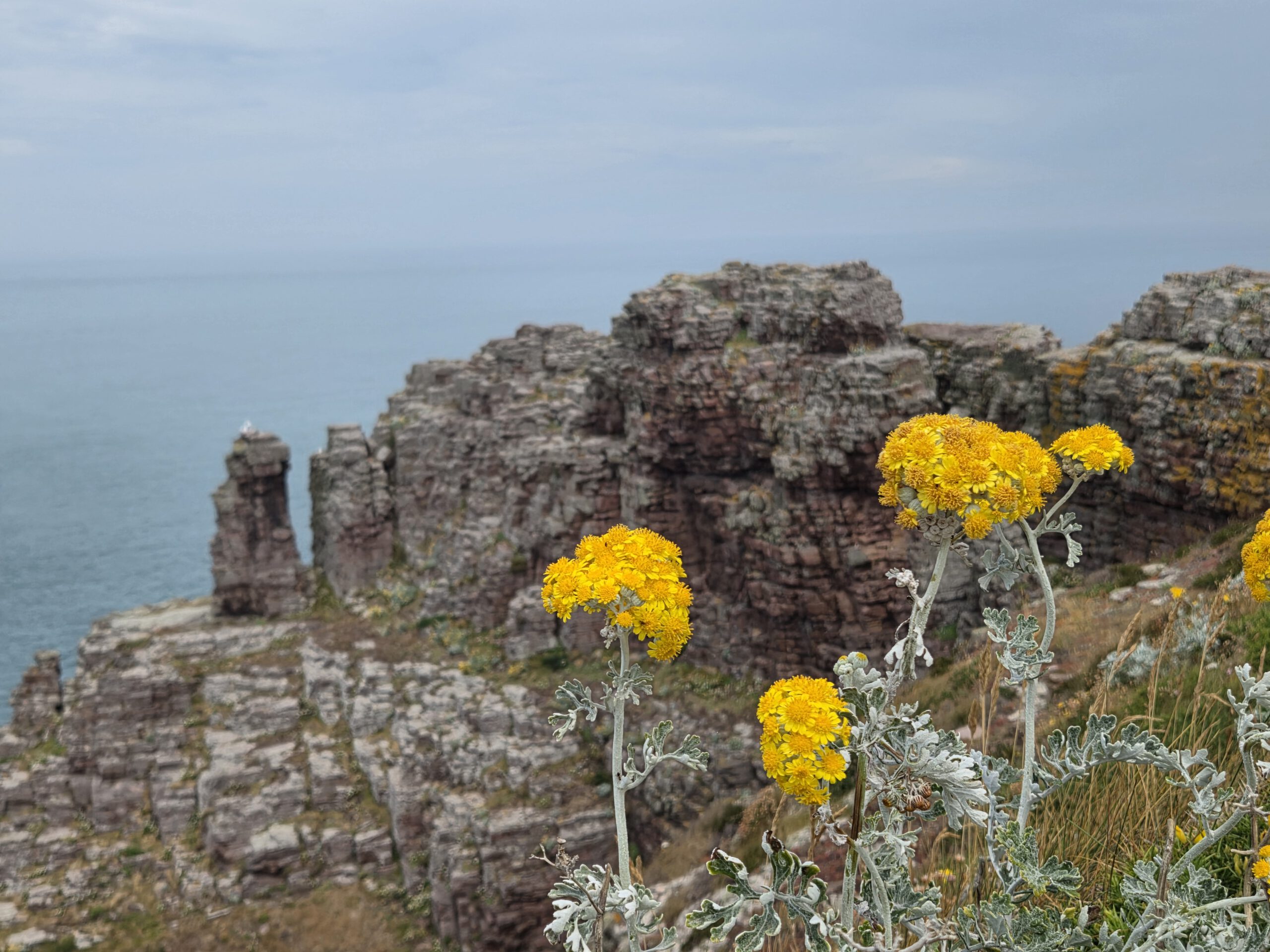 Cap Frehel & Co.